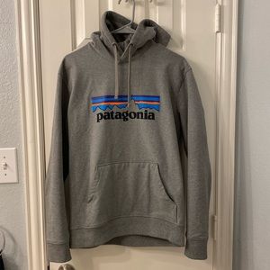Patagonia Hoodie Mens Medium